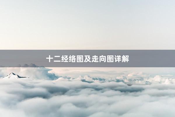 十二经络图及走向图详解