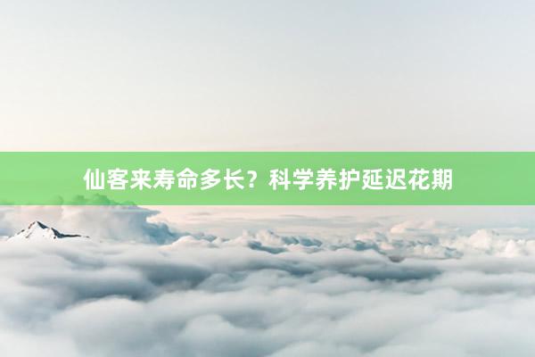 仙客来寿命多长？科学养护延迟花期