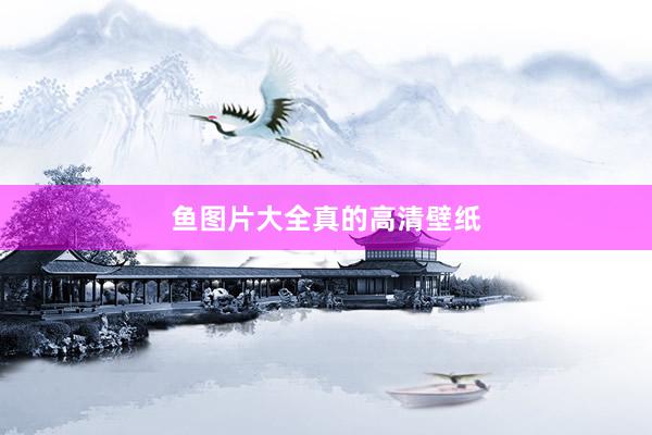 鱼图片大全真的高清壁纸