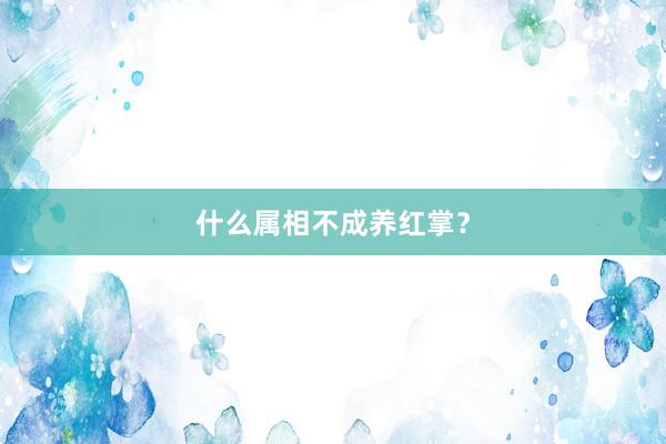 什么属相不成养红掌？