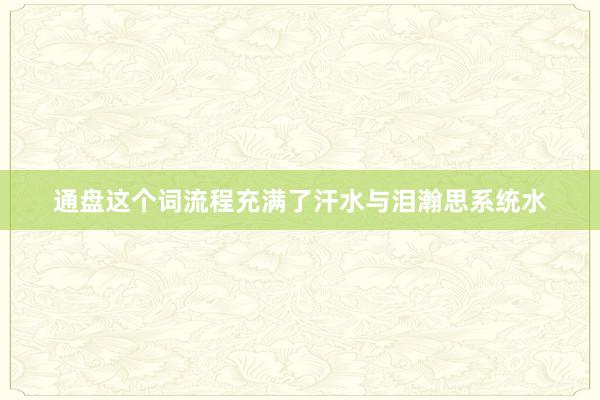 通盘这个词流程充满了汗水与泪瀚思系统水