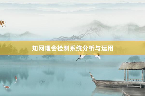 知网理会检测系统分析与运用