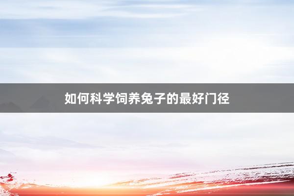 如何科学饲养兔子的最好门径